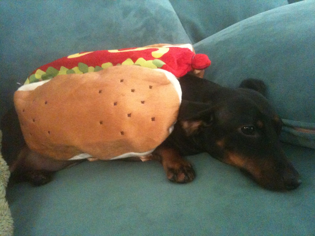 Hot Dog